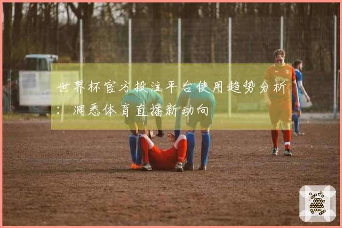 世界杯官方投注平台使用趋势分析：洞悉体育直播新动向