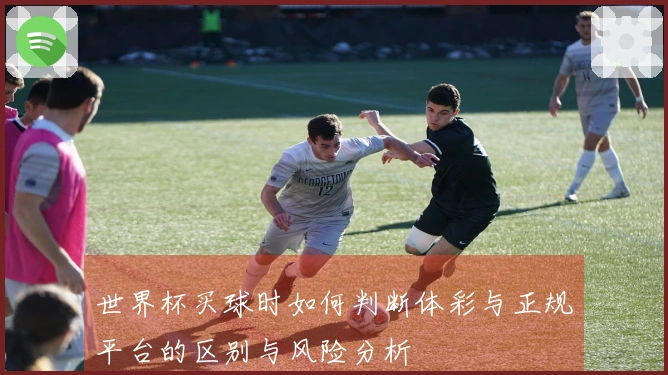 世界杯买球时如何判断体彩与正规平台的区别与风险分析