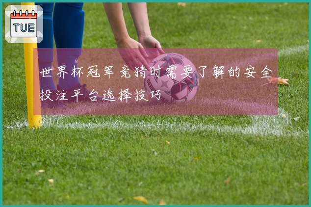 世界杯冠军竞猜时需要了解的安全投注平台选择技巧