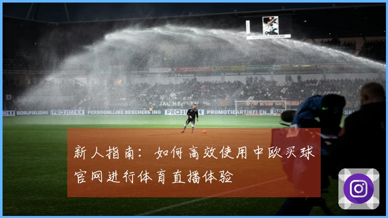 新人指南：如何高效使用中欧买球官网进行体育直播体验