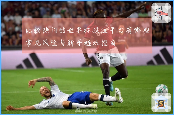 比较热门的世界杯投注平台有哪些常见风险与新手避坑指南