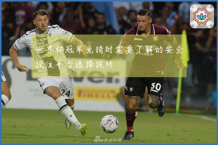 世界杯冠军竞猜时需要了解的安全投注平台选择技巧