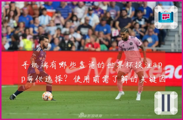 手机端有哪些靠谱的世界杯投注app可供选择？使用前需了解的关键因素
