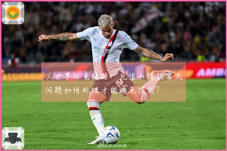 买世界杯竞猜时，充值和提款常见问题如何处理才能避免损失？