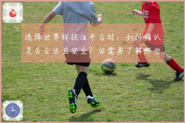 选择世界杯投注平台时,如何确认是否合法且安全?你需要了解哪些注意事项?