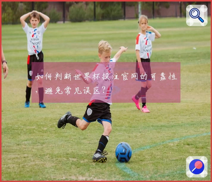 如何判断世界杯投注官网的可靠性,避免常见误区?