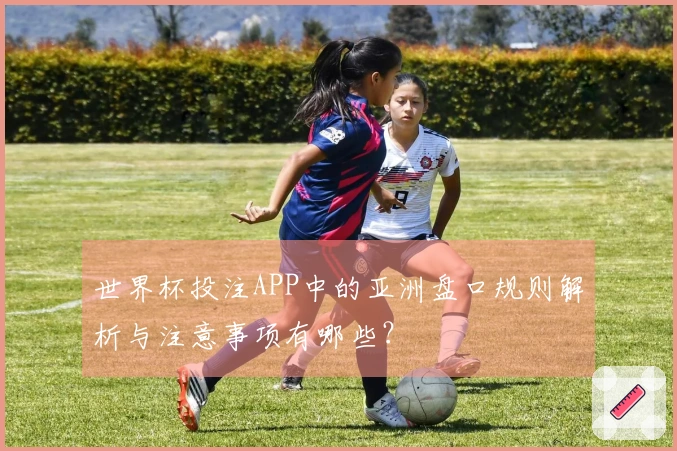 世界杯投注APP中的亚洲盘口规则解析与注意事项有哪些？