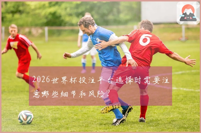 2026世界杯投注平台选择时需要注意哪些细节和风险？