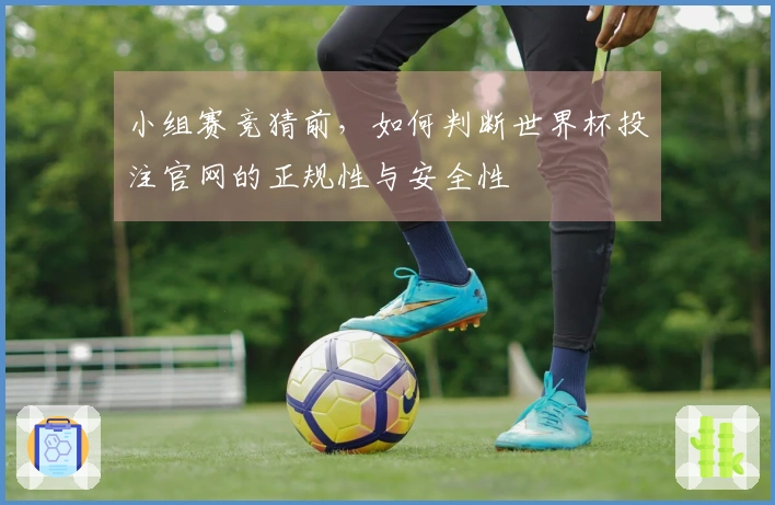 小组赛竞猜前,如何判断世界杯投注官网的正规性与安全性