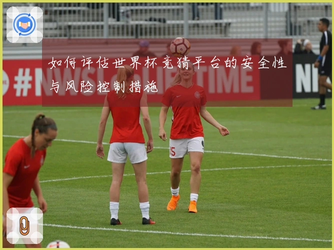 如何评估世界杯竞猜平台的安全性与风险控制措施